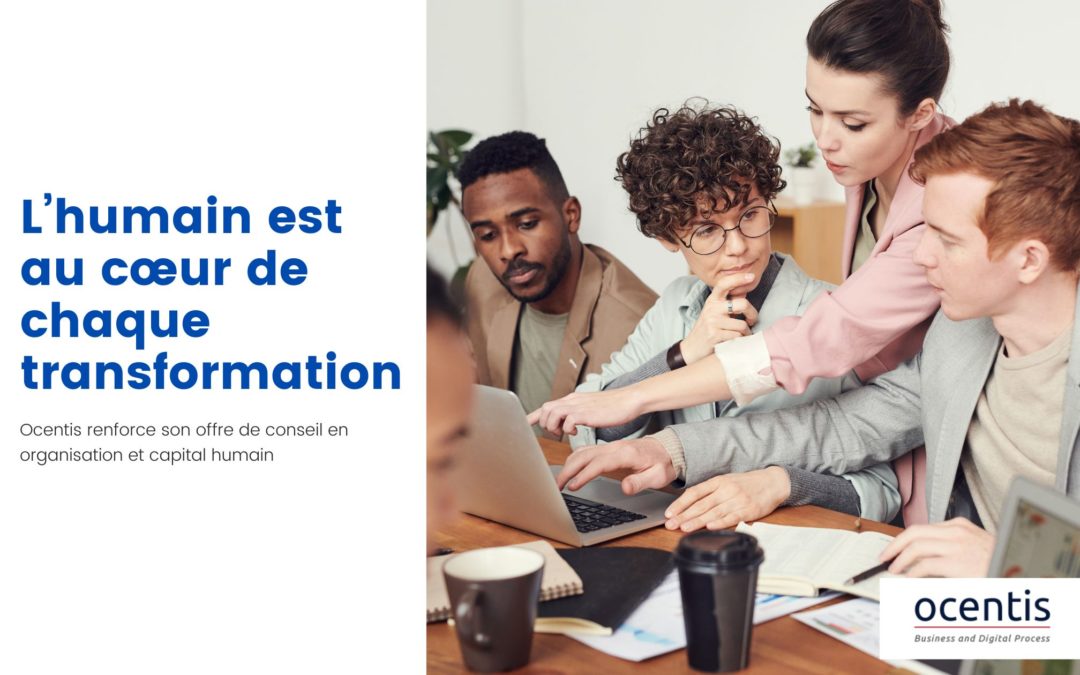 Ocentis renforce son offre de conseil en organisation et gestion du capital humain